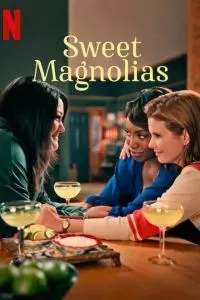 Сериал Милые магнолии 1-4 сезон онлайн бесплатно