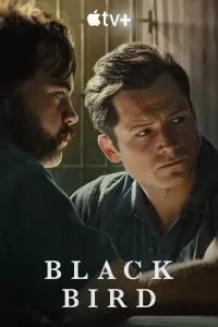 Сериал Чёрная птица 1 сезон онлайн бесплатно